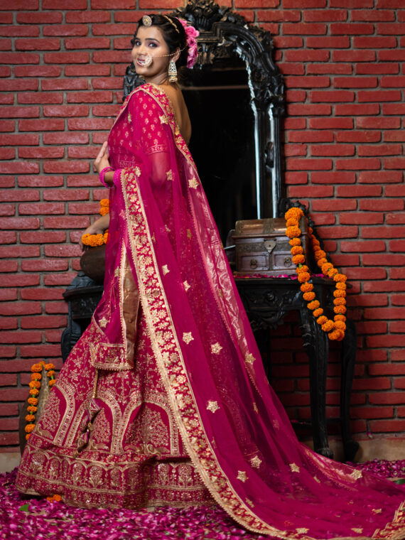 Designer Lehenga Choli Online - All Types Lehenga Collection 2019 in India  – Dailybuyys